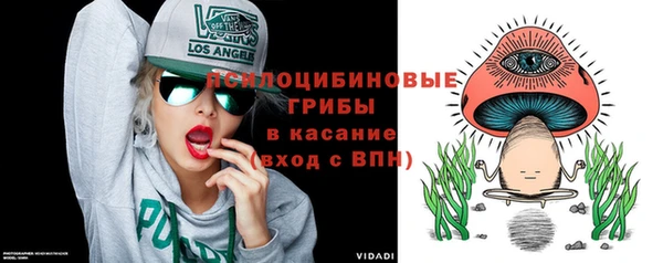 дмт Абаза