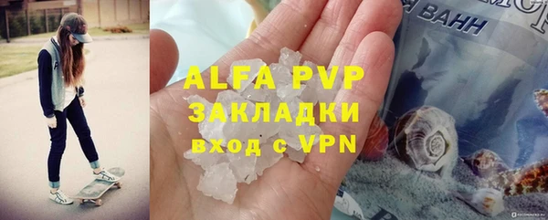 СК Алексин