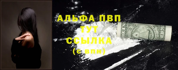 дмт Абаза